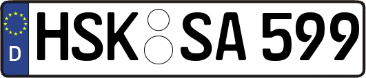 HSK-SA599