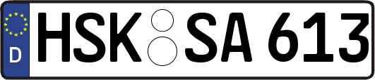 HSK-SA613