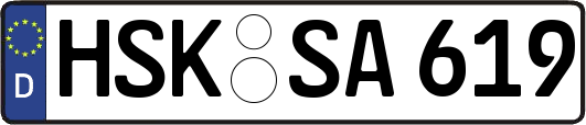 HSK-SA619