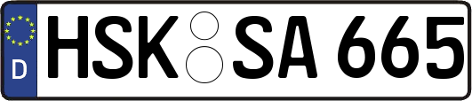 HSK-SA665