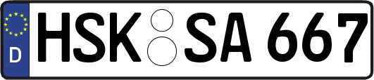 HSK-SA667