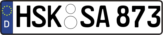 HSK-SA873