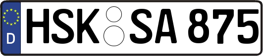 HSK-SA875