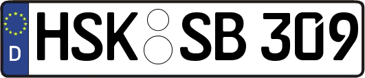 HSK-SB309