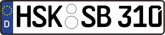 HSK-SB310