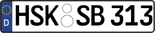 HSK-SB313
