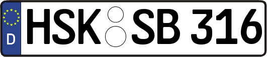 HSK-SB316