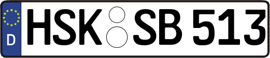 HSK-SB513