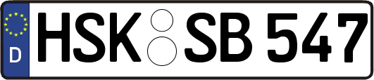 HSK-SB547