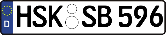 HSK-SB596