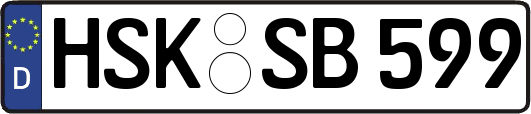 HSK-SB599