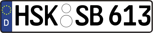 HSK-SB613