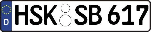 HSK-SB617