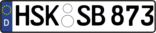 HSK-SB873