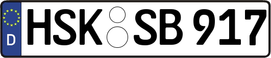 HSK-SB917