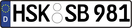 HSK-SB981