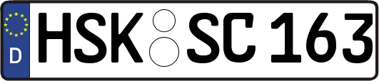 HSK-SC163