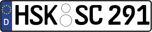 HSK-SC291