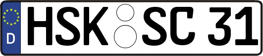 HSK-SC31