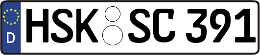 HSK-SC391