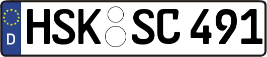 HSK-SC491