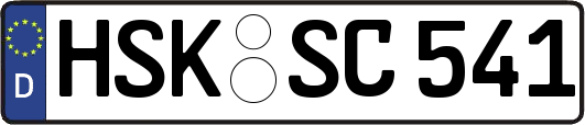 HSK-SC541