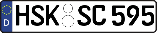 HSK-SC595