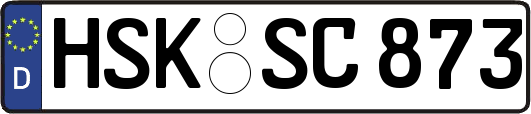 HSK-SC873