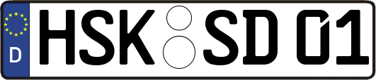 HSK-SD01