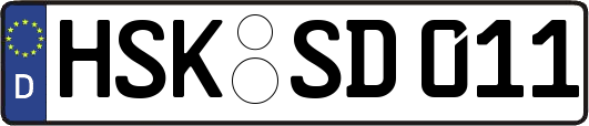 HSK-SD011