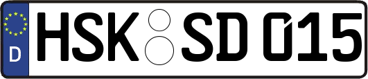 HSK-SD015