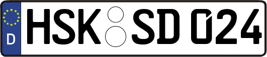 HSK-SD024