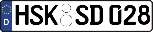 HSK-SD028