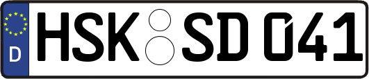 HSK-SD041