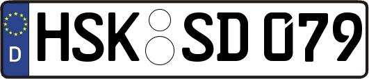 HSK-SD079