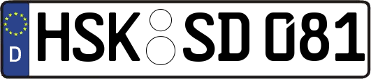 HSK-SD081