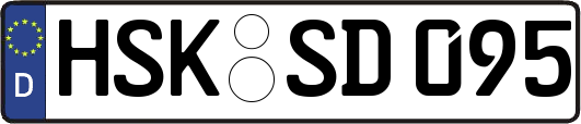 HSK-SD095