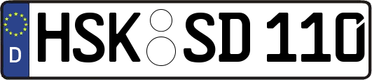 HSK-SD110