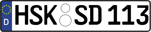 HSK-SD113