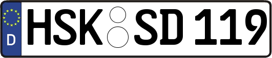 HSK-SD119