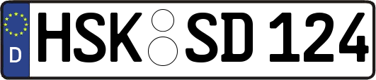 HSK-SD124