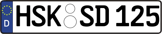 HSK-SD125
