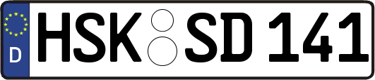 HSK-SD141
