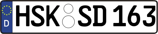HSK-SD163