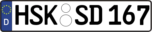 HSK-SD167