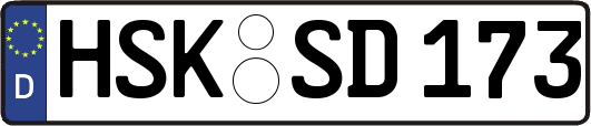HSK-SD173