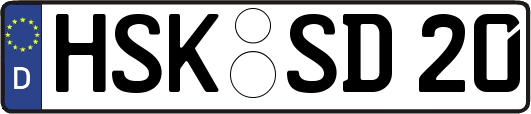 HSK-SD20