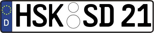 HSK-SD21