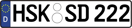 HSK-SD222