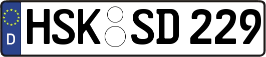 HSK-SD229